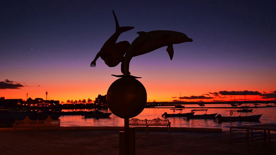 Escultura Paraiso de Mar, Malecon de La Paz BCS
